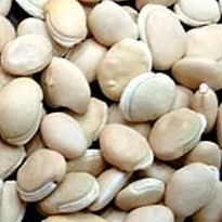 மொச்சை 500kg